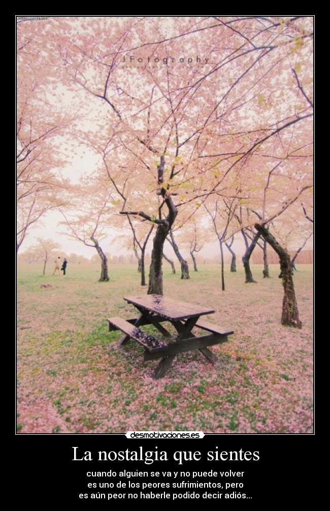 La nostalgia que sientes - cuando alguien se va y no puede volver
es uno de los peores sufrimientos, pero
es aún peor no haberle podido decir adiós...