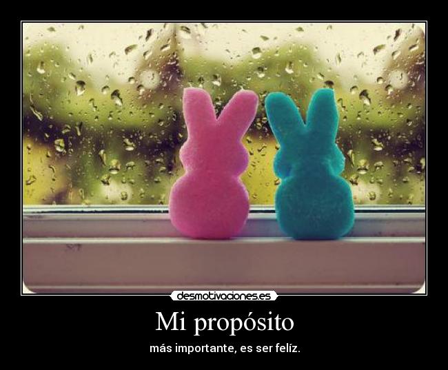 Mi propósito -
