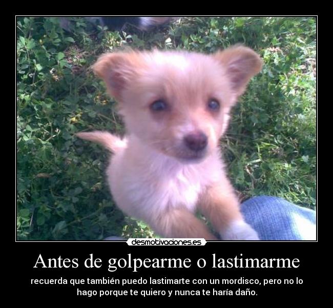 Antes de golpearme o lastimarme - 