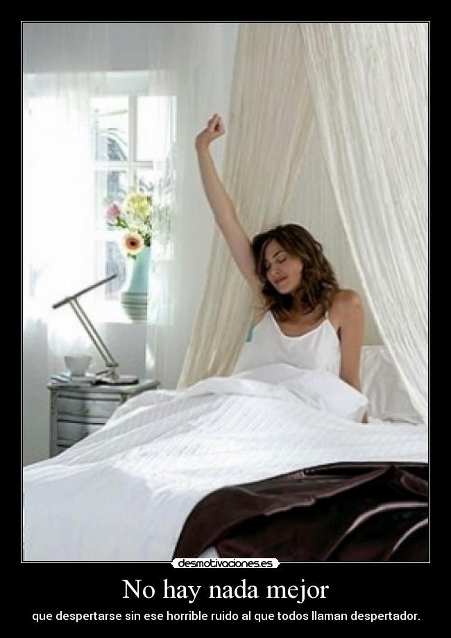 carteles nada mejor desmotivaciones