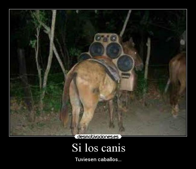 Si los canis -