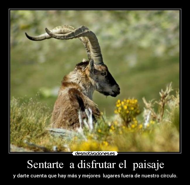 Sentarte a disfrutar el paisaje - y darte cuenta que hay más y mejores lugares fuera de nuestro círculo.