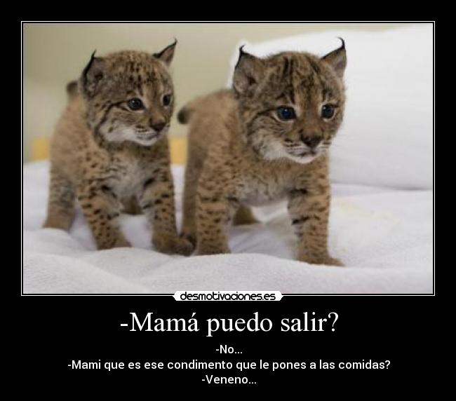 -Mamá puedo salir? -