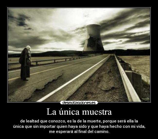 carteles amm machiavellicro desmotivaciones