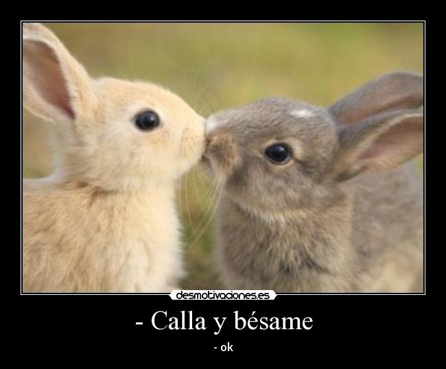 - Calla y bésame -