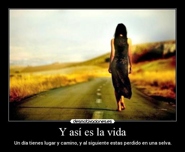 Y así es la vida -