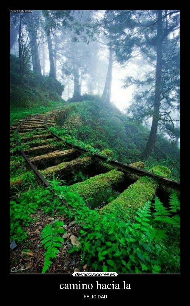 carteles camino hacia felicidad desmotivaciones