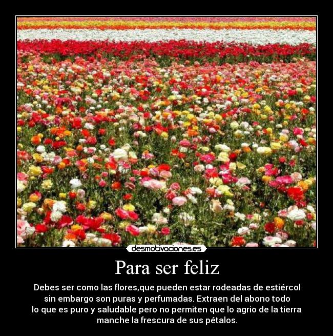 Para ser feliz - Debes ser como las flores,que pueden estar rodeadas de estiércol
sin embargo son puras y perfumadas. Extraen del abono todo
lo que es puro y saludable pero no permiten que lo agrio de la tierra
manche la frescura de sus pétalos.