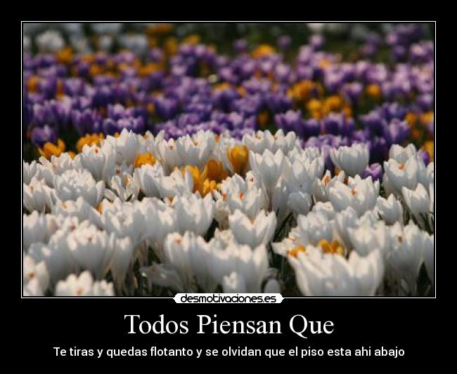 Todos Piensan Que - Te tiras y quedas flotanto y se olvidan que el piso esta ahi abajo