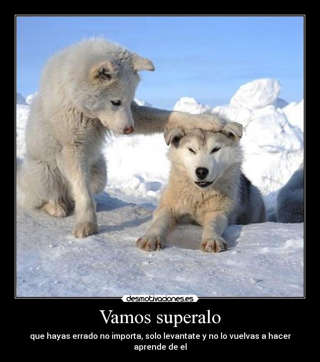 Vamos superalo - que hayas errado no importa, solo levantate y no lo vuelvas a hacer aprende de el