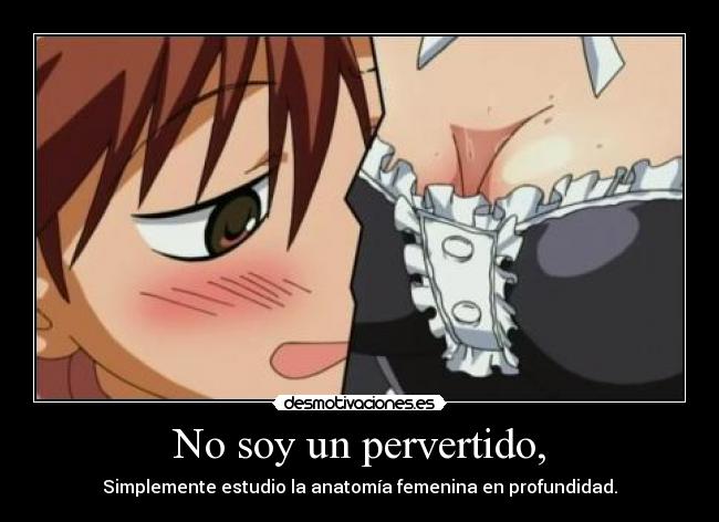 No soy un pervertido, - Simplemente estudio la anatomía femenina en profundidad.