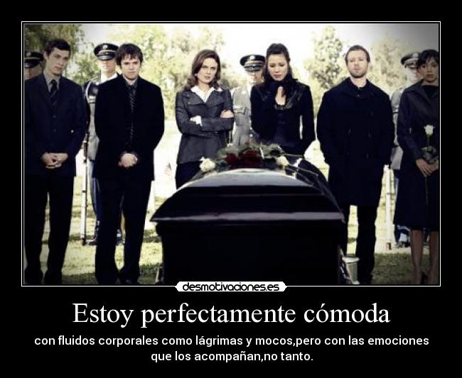 carteles bones temperance brennan temperanse emily deschanel zack addy gormogon cam dexter desmotivaciones