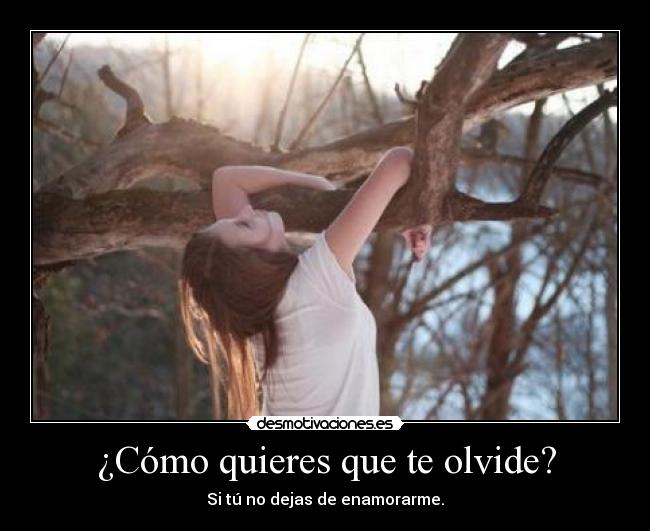 ¿Cómo quieres que te olvide? - Si tú no dejas de enamorarme.
