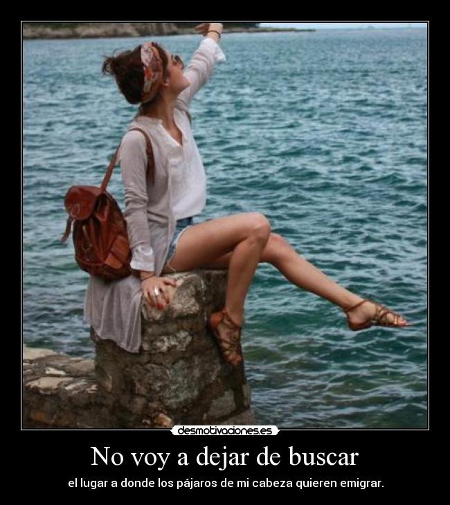 No voy a dejar de buscar - el lugar a donde los pájaros de mi cabeza quieren emigrar.