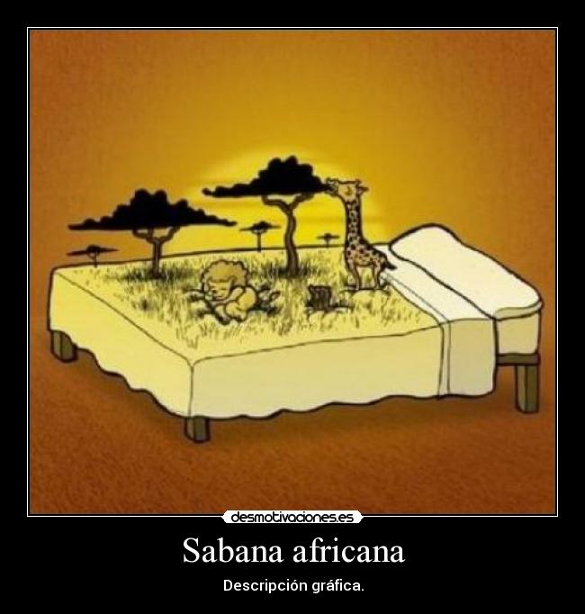 Sabana africana - Descripción gráfica.