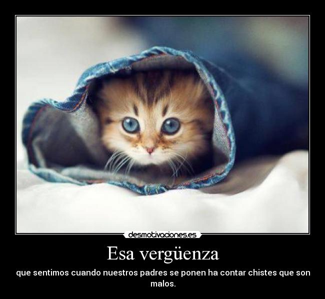 Esa vergüenza - 