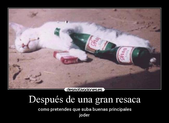 Después de una gran resaca - como pretendes que suba buenas principales
joder