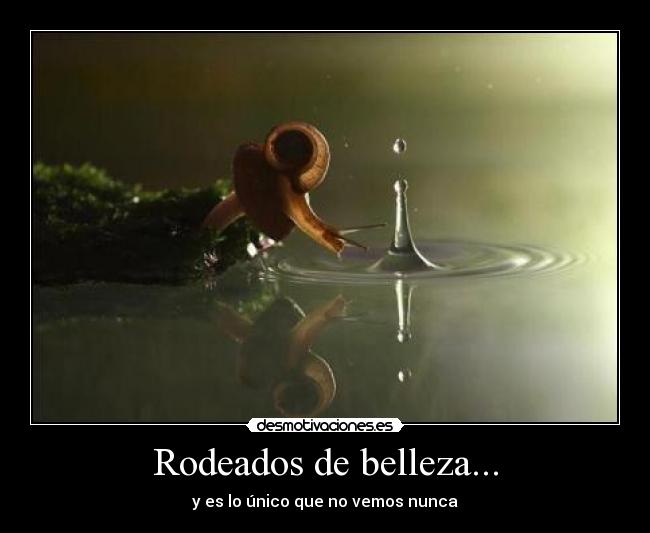 Rodeados de belleza... - y es lo único que no vemos nunca