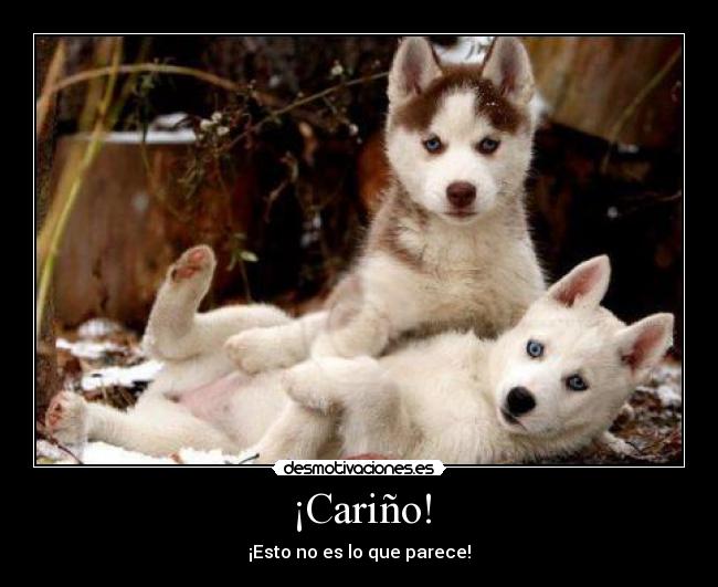 ¡Cariño! - ¡Esto no es lo que parece!