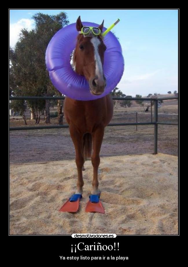 ¡¡Cariñoo!! - Ya estoy listo para ir a la playa