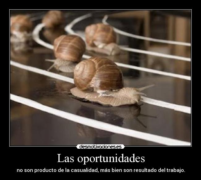 Las oportunidades - no son producto de la casualidad, más bien son resultado del trabajo.