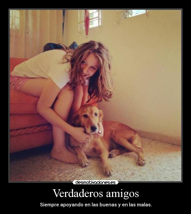 Verdaderos amigos - 