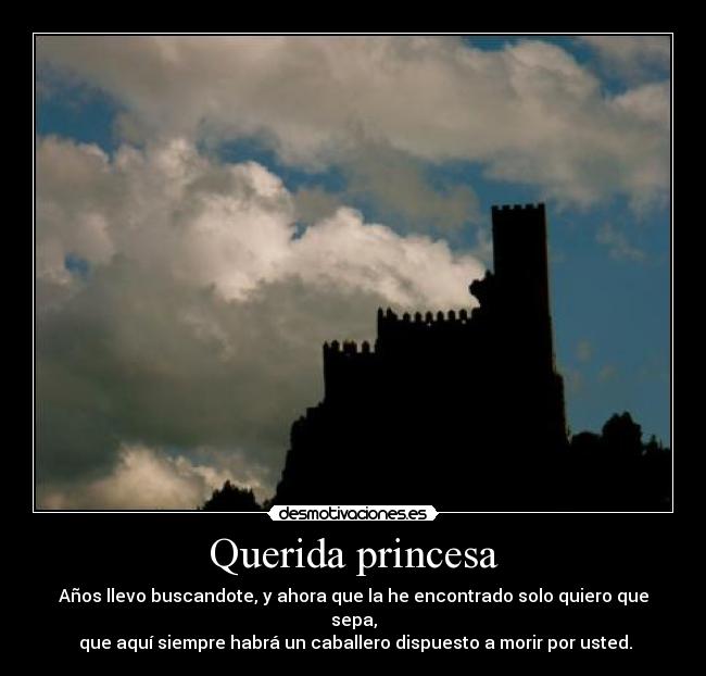 Querida princesa - Años llevo buscandote, y ahora que la he encontrado solo quiero que sepa,
que aquí siempre habrá un caballero dispuesto a morir por usted.