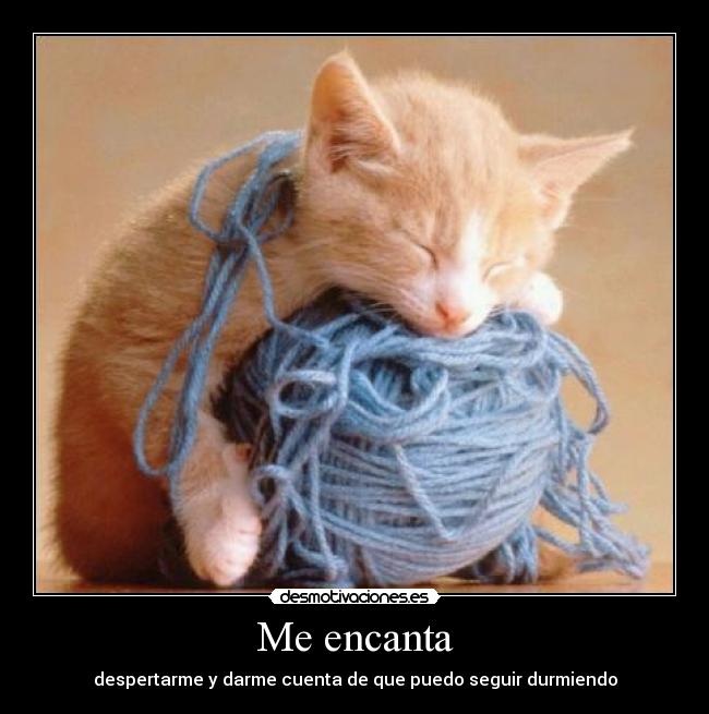 Me encanta - 