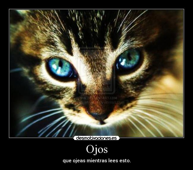 Ojos - que ojeas mientras lees esto.