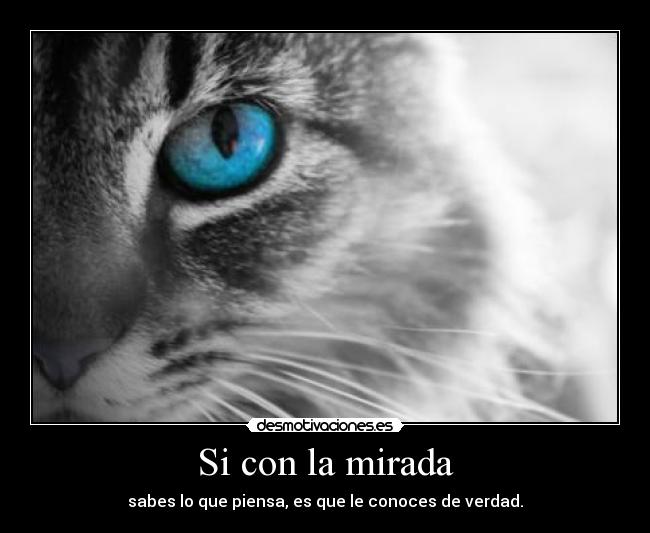 Si con la mirada - sabes lo que piensa, es que le conoces de verdad.
