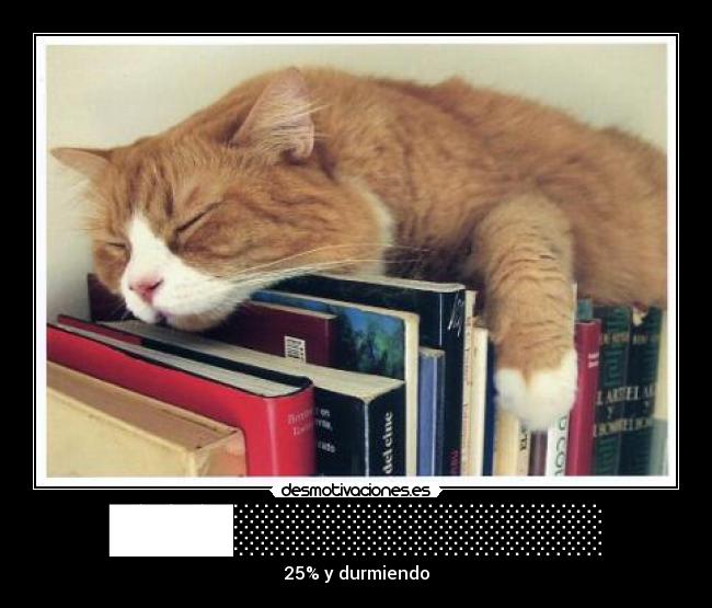 ████░░░░░░░░░░░░ - 