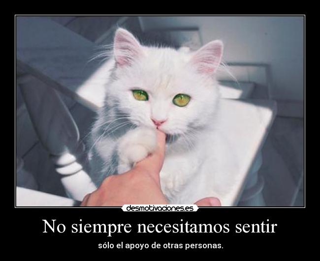 No siempre necesitamos sentir - sólo el apoyo de otras personas.