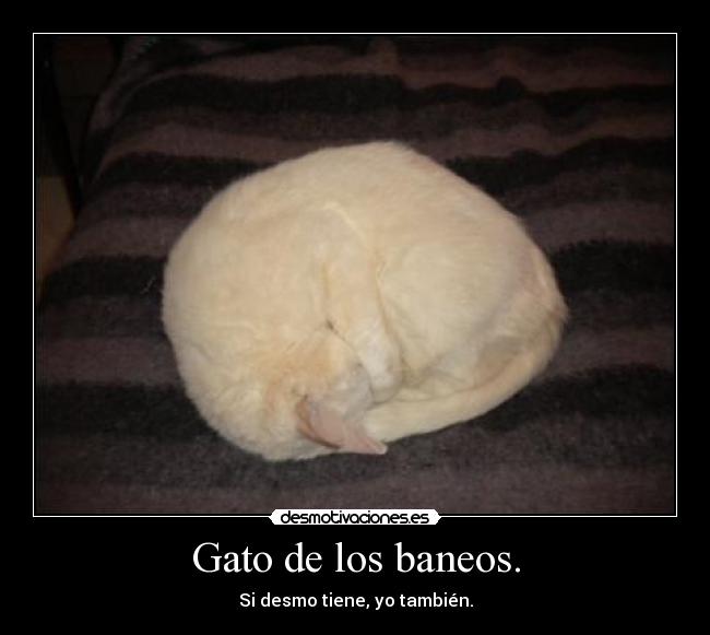 carteles slipkdemon concurso1 desmotivaciones