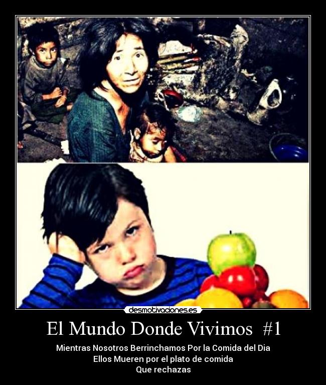 El Mundo Donde Vivimos #1 -