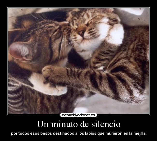 Un minuto de silencio - 