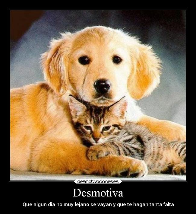 Desmotiva -
