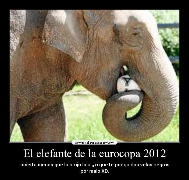 El elefante de la eurocopa 2012 - acierta menos que la bruja lola¡¡¡ a que te ponga dos velas negras por malo XD.