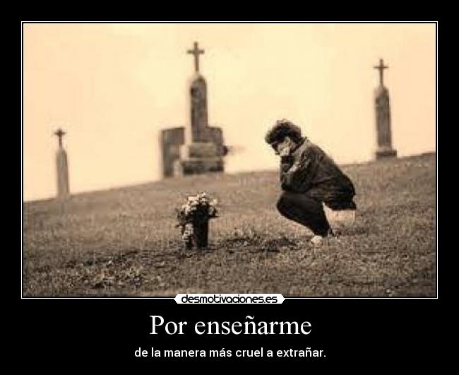 Por enseñarme - 