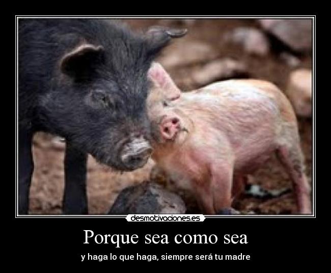 Porque sea como sea - y haga lo que haga, siempre será tu madre