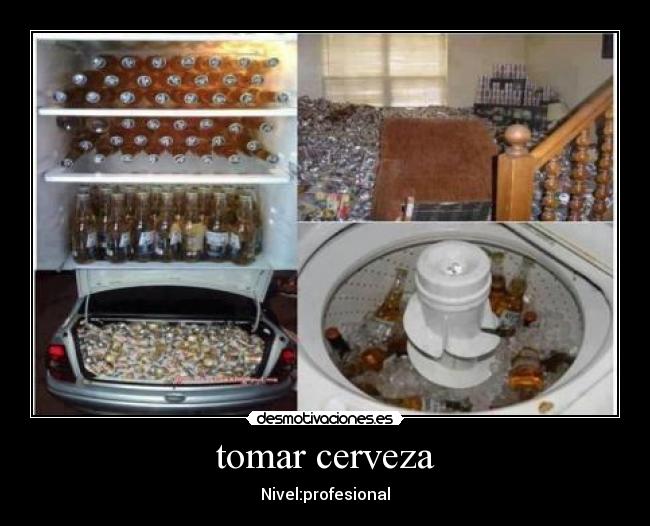tomar cerveza - Nivel:profesional