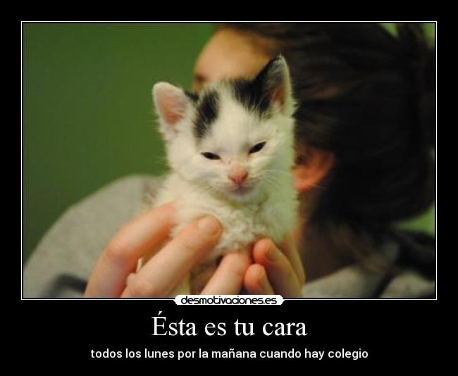 Ésta es tu cara - todos los lunes por la mañana cuando hay colegio