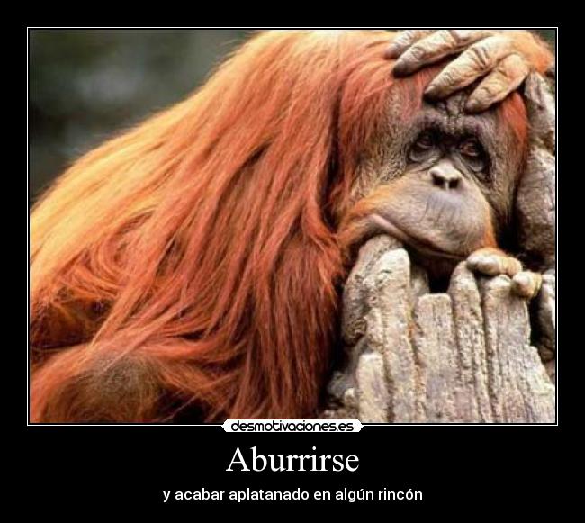 Aburrirse - y acabar aplatanado en algún rincón