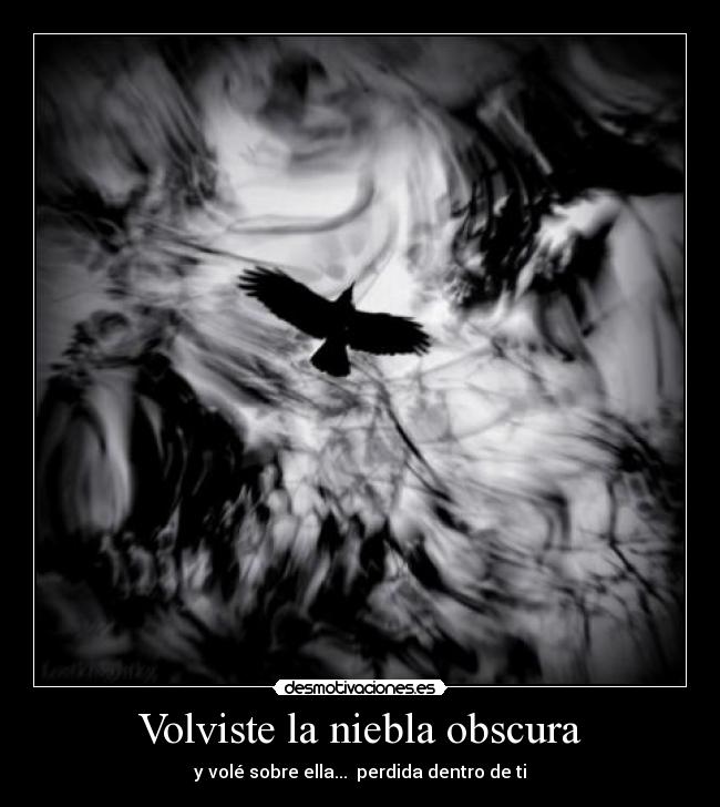 Volviste la niebla obscura - y volé sobre ella...  perdida dentro de ti