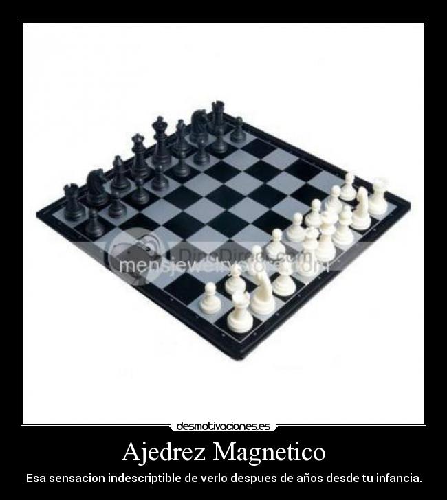 Ajedrez Magnetico - 