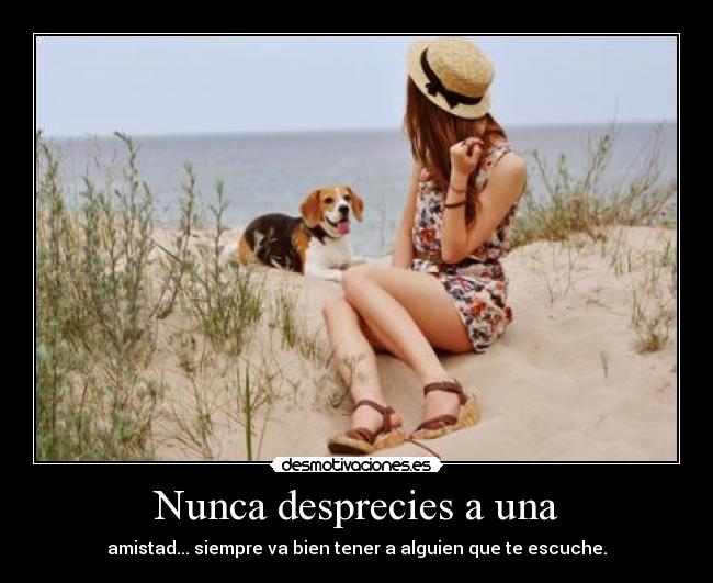 Nunca desprecies a una - amistad... siempre va bien tener a alguien que te escuche.