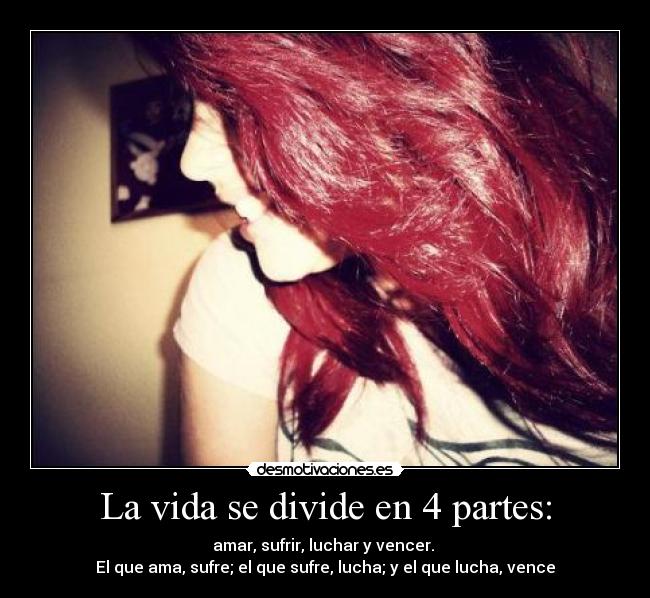 La vida se divide en 4 partes: - 