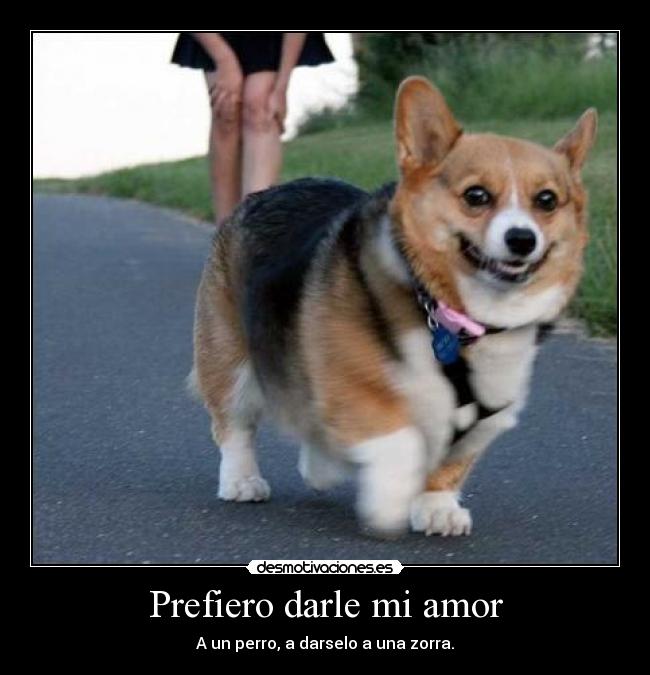 Prefiero darle mi amor - A un perro, a darselo a una zorra.