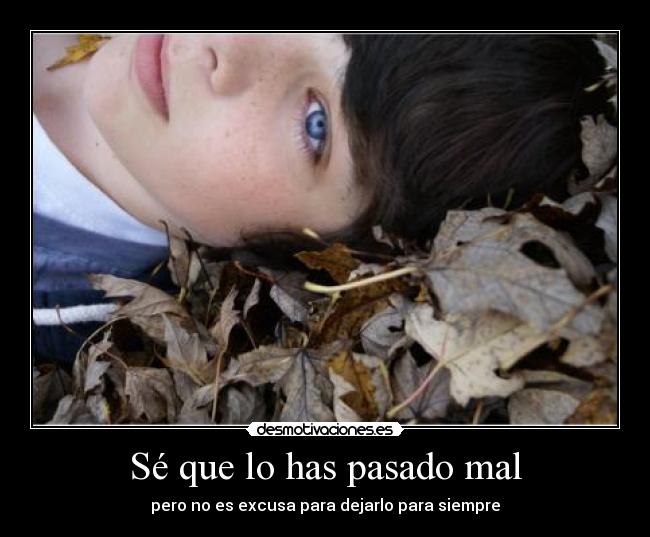 carteles pasado se que has pasado mal pero excusa para dejarlo siempre desmotivaciones