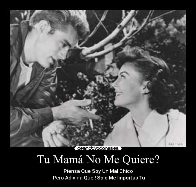 Tu Mamá No Me Quiere? - ¡Piensa Que Soy Un Mal Chico 
 Pero Adivina Que ! Solo Me Importas Tu