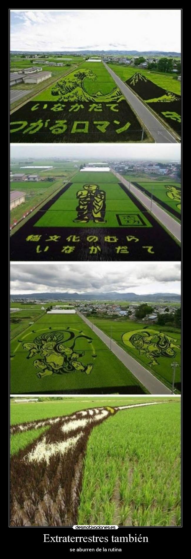 carteles astaroth son unos loquillos desmotivaciones